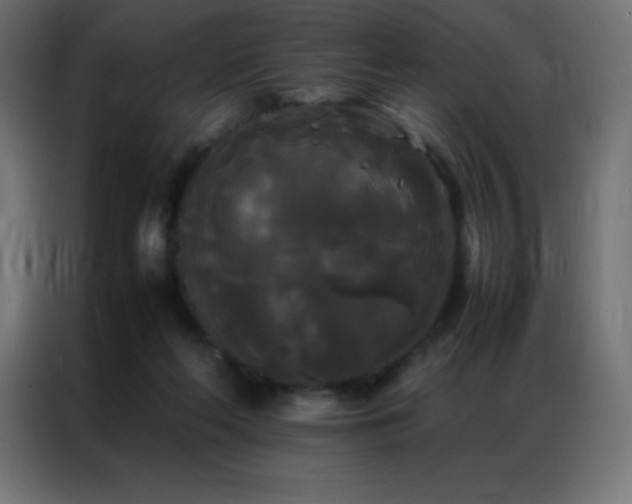 X0000086920214200704161410