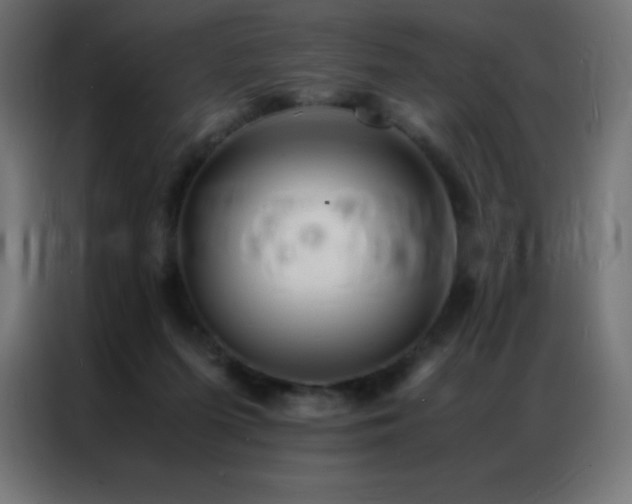 X0000086920215200704161410