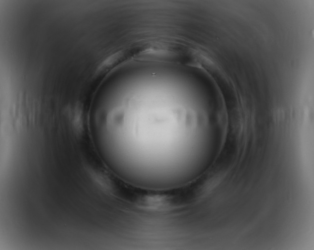 X0000086920216200704161410