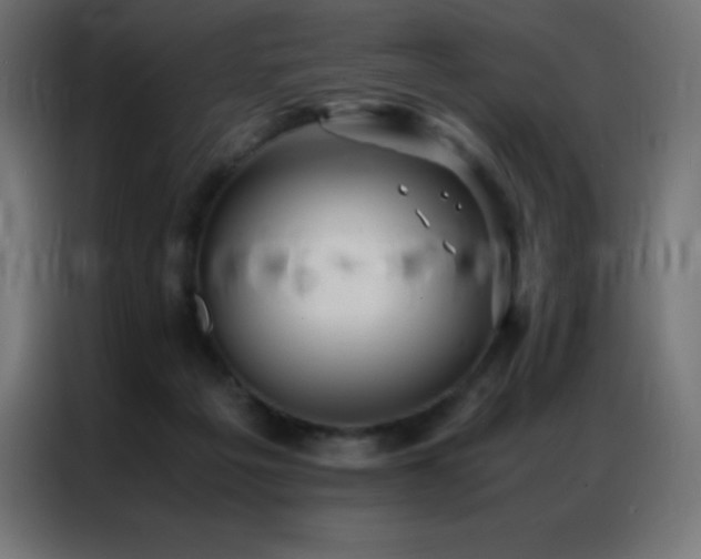 X0000086920217200704161410