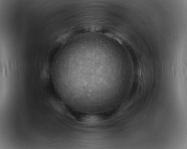 X0000086920218200704161410