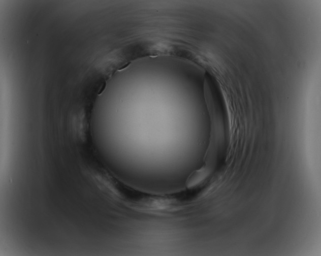 X0000086920223200704161409
