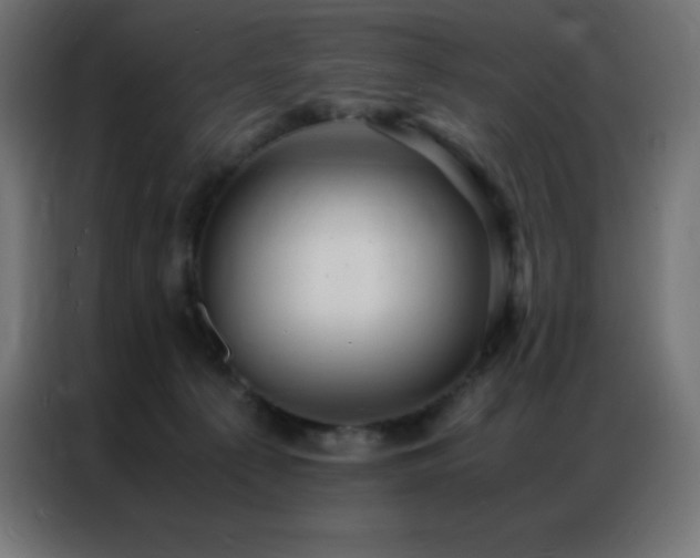 X0000086920225200704161409