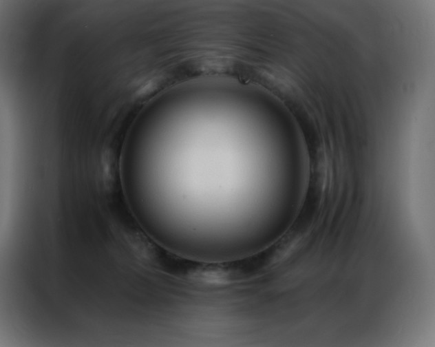 X0000086920228200704161409