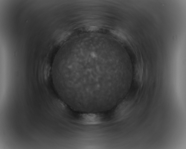 X0000086920230200704161409