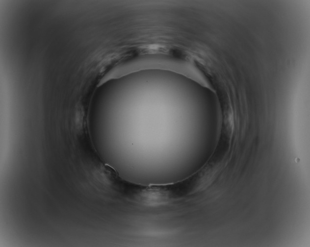 X0000086920231200704161409