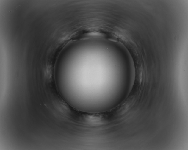 X0000086920232200704161409