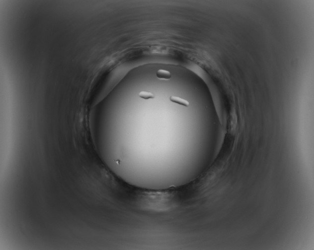 X0000086920233200704161409
