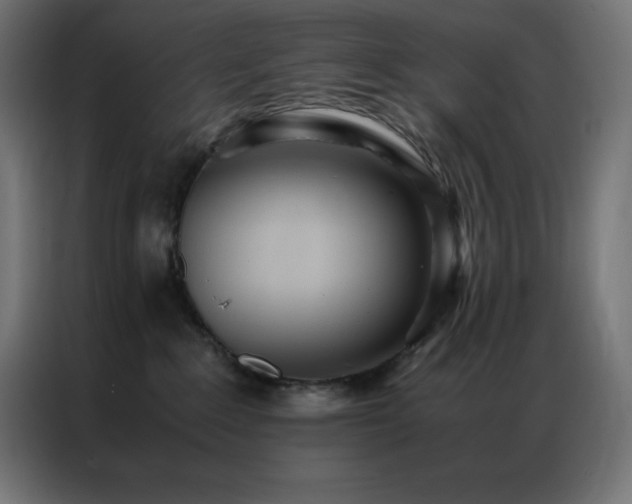 X0000086920235200704161409