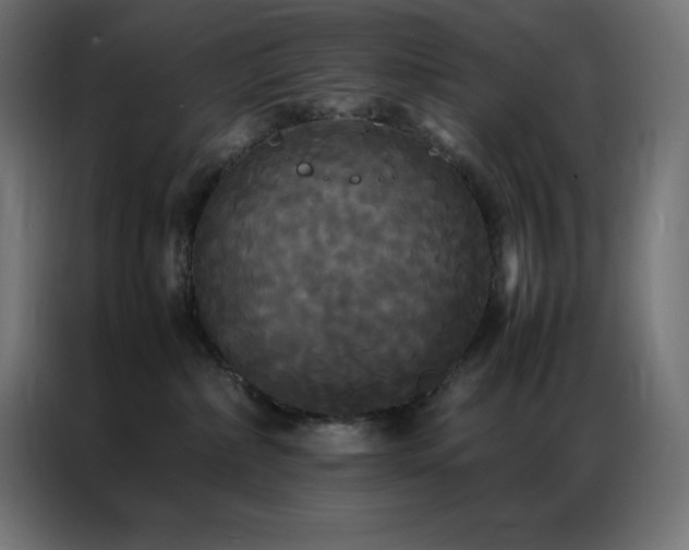 X0000086920236200704161409