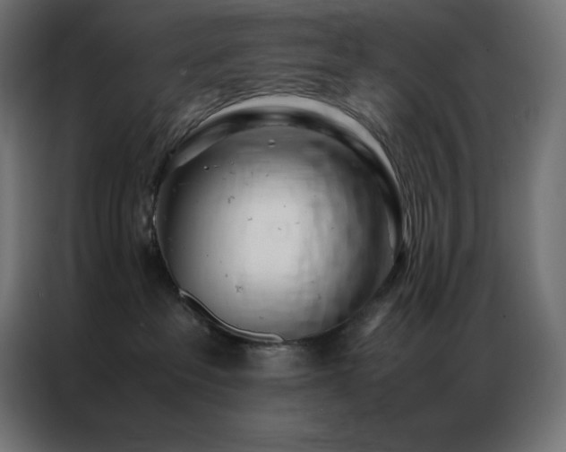 X0000086920237200704161409