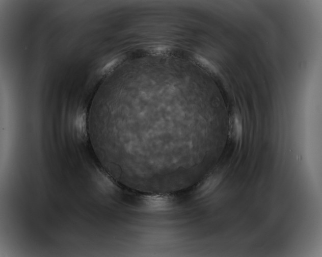 X0000086920238200704161409