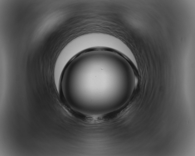 X0000086920239200704161409
