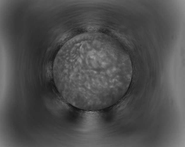 X0000086920240200704161409