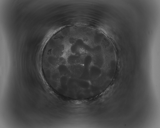 X0000086920241200704161409