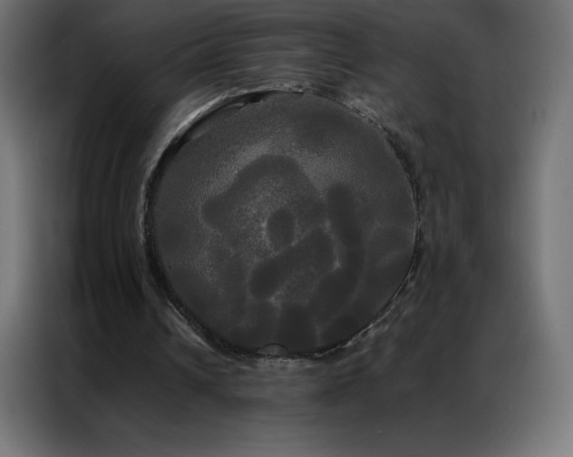 X0000086920242200704161409