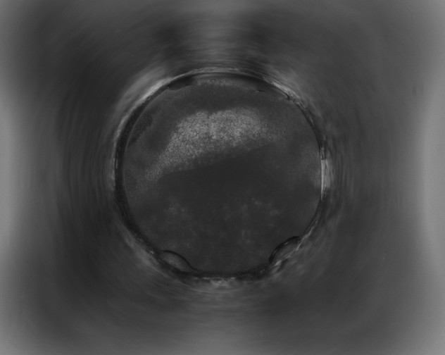 X0000086920243200704161409