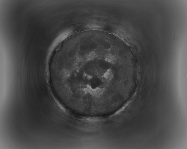 X0000086920245200704161409
