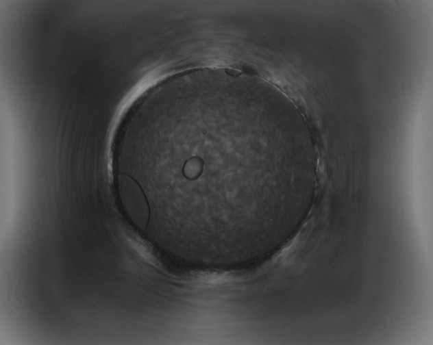 X0000086920246200704161409