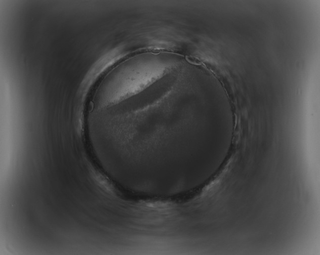 X0000086920247200704161409
