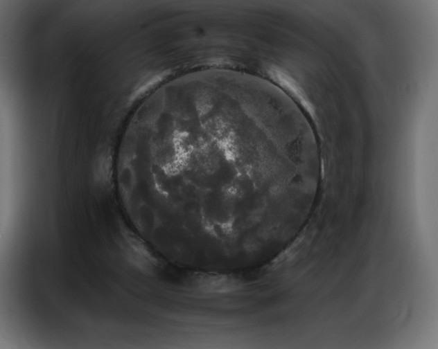 X0000086920249200704161409