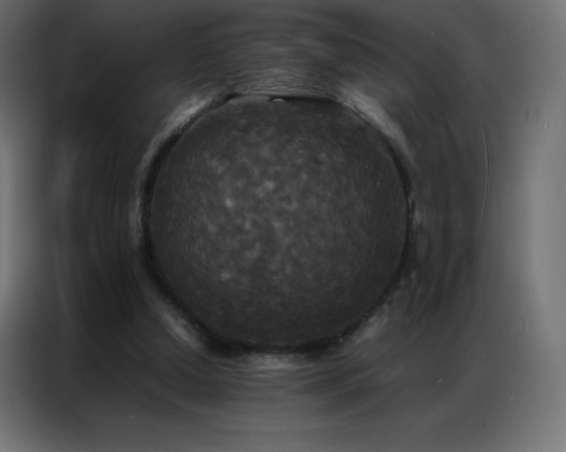 X0000086920250200704161409
