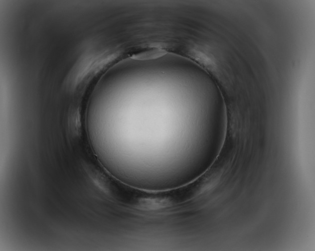 X0000086920251200704161409