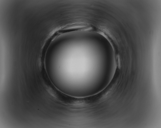 X0000086920252200704161409
