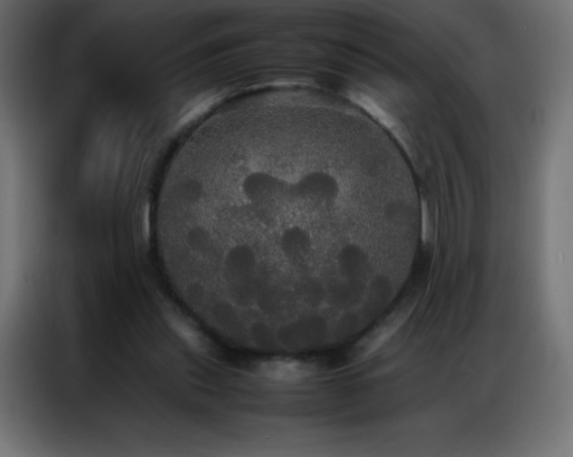 X0000086920253200704161409