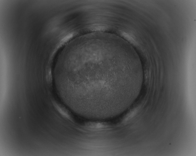 X0000086920254200704161409