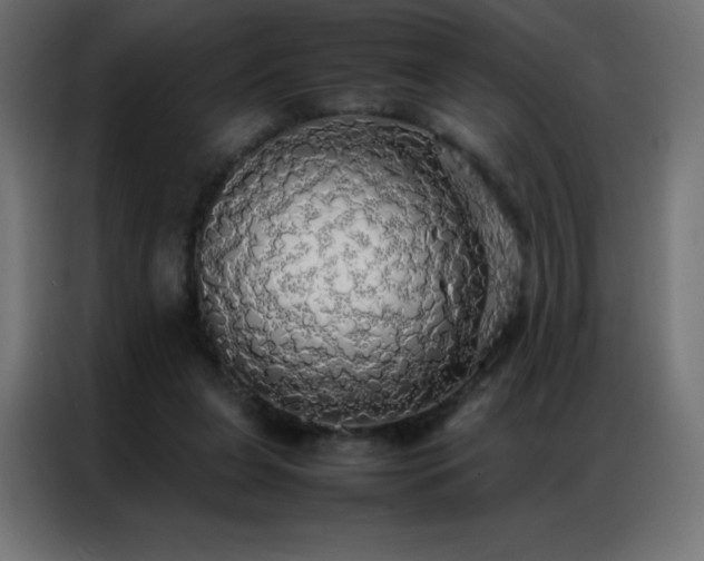 X0000086920255200704161409