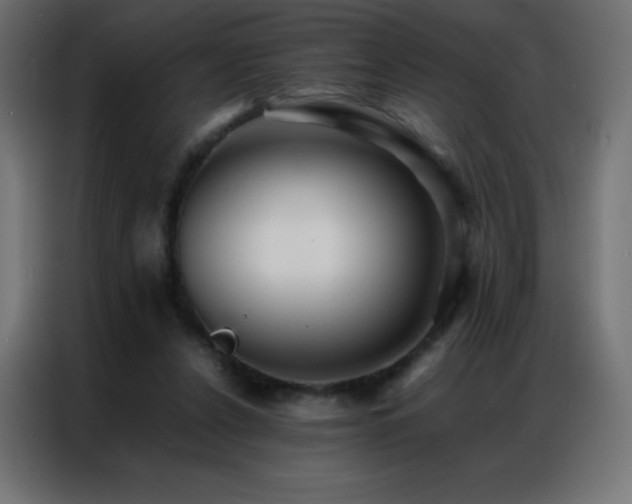 X0000086920256200704161409