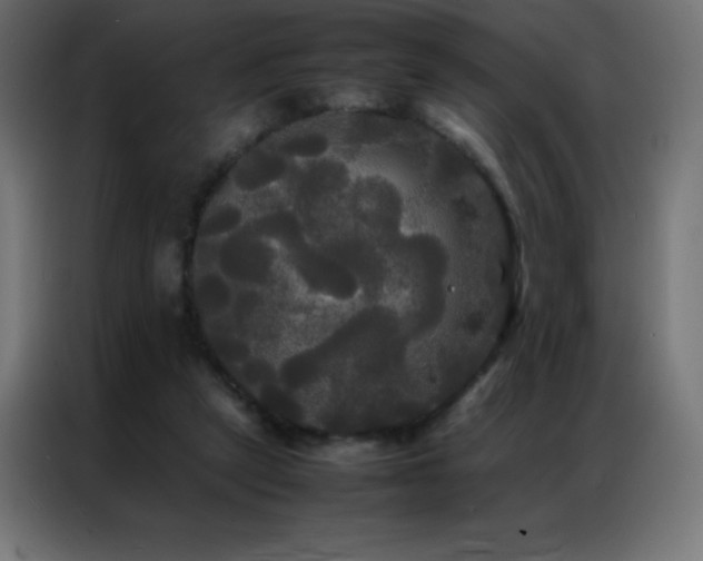 X0000086920257200704161409