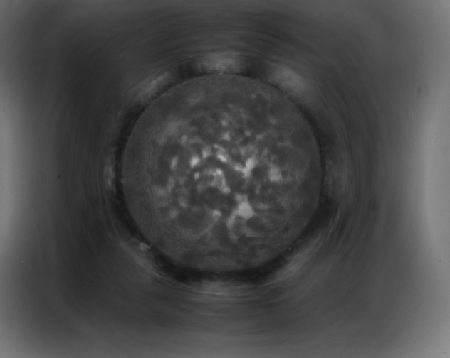 X0000086920259200704161409