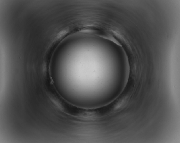 X0000086920260200704161409