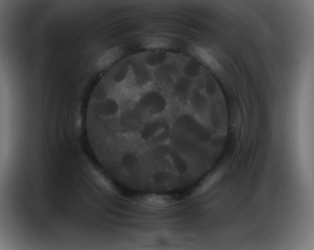 X0000086920261200704161409