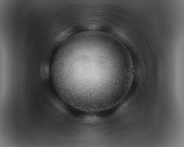 X0000086920262200704161409