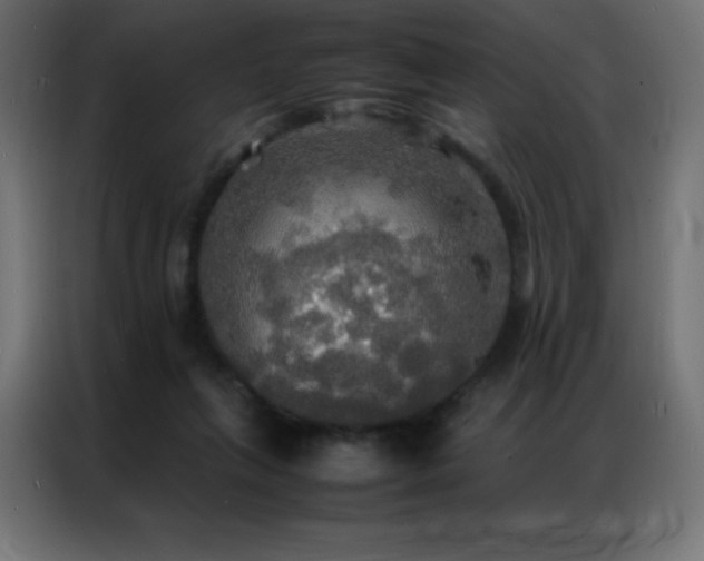 X0000086920263200704161409