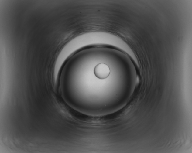 X0000086920264200704161409