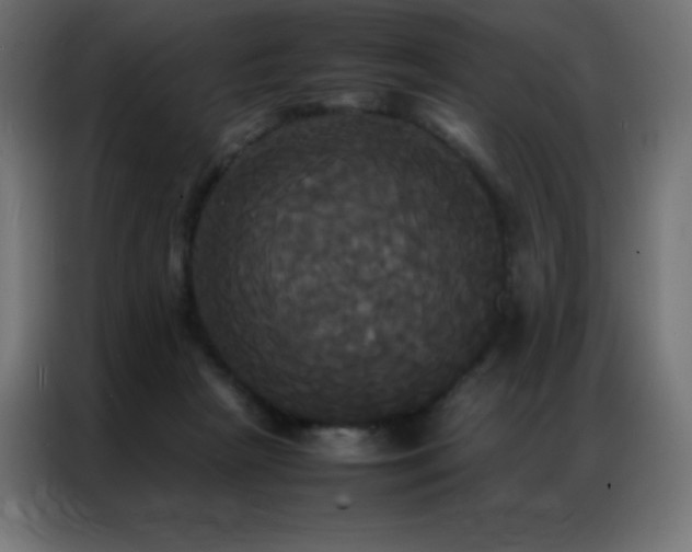 X0000086920265200704161409