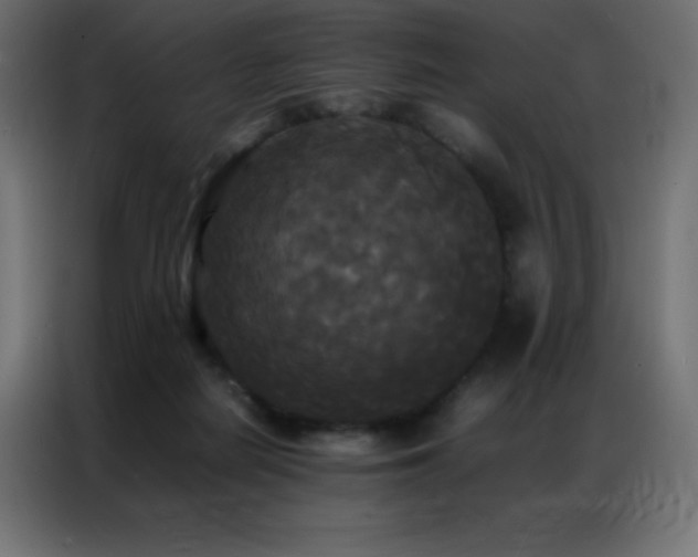 X0000086920266200704161409