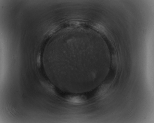 X0000086920267200704161409