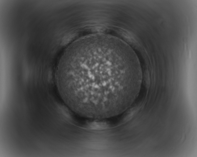 X0000086920270200704161409