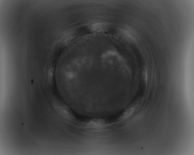 X0000086920271200704161409