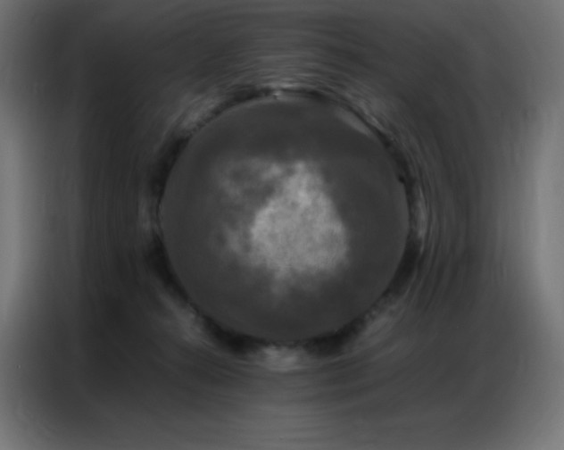 X0000086920272200704161409