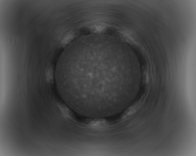 X0000086920274200704161409