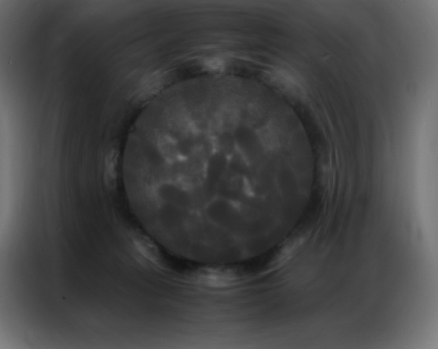X0000086920275200704161409