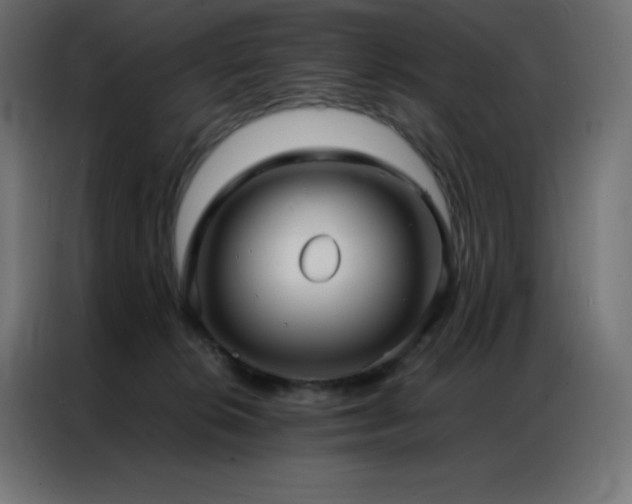 X0000086920276200704161409