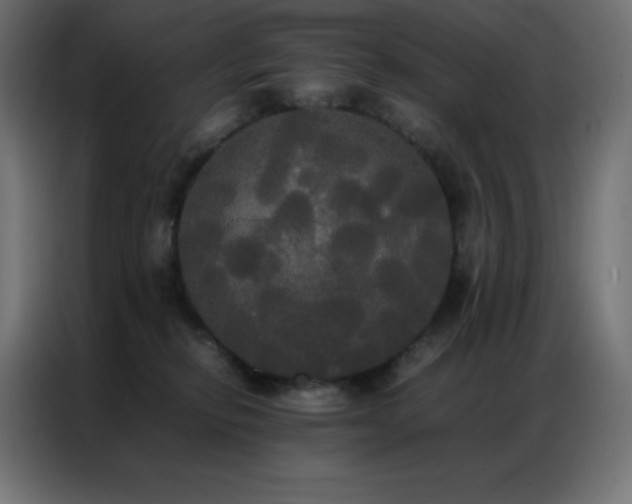 X0000086920278200704161409