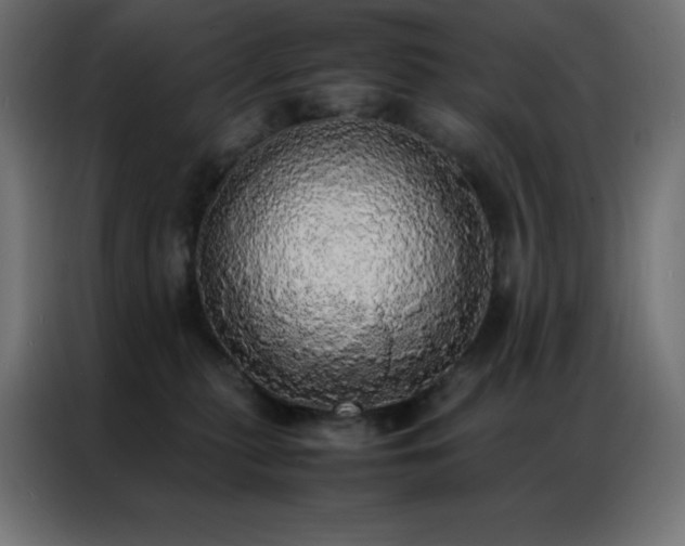 X0000086920279200704161409